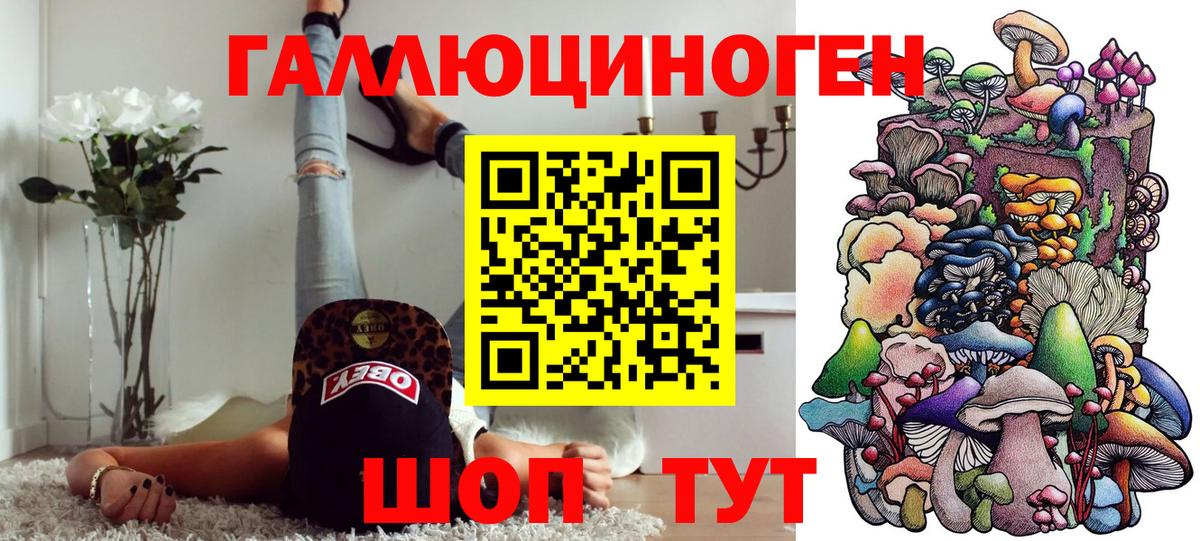Галлюциногенные грибы Cubensis  Вход с VPN  Сергиев Посад 