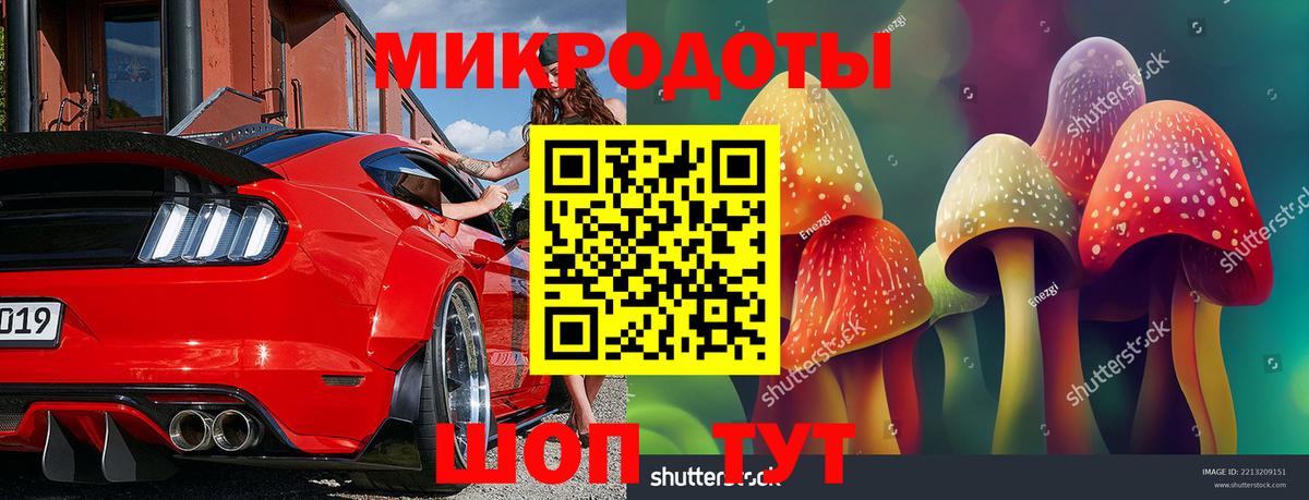 Псилоцибиновые грибы Psilocybine cubensis Сергиев Посад