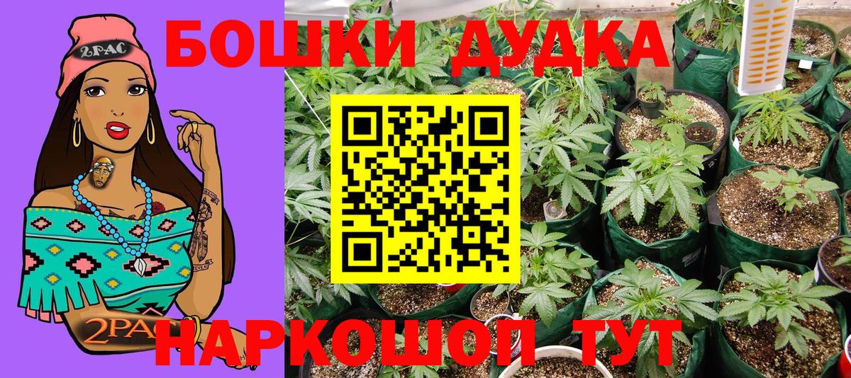 Канабис план Сергиев Посад